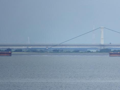 吉野川河口